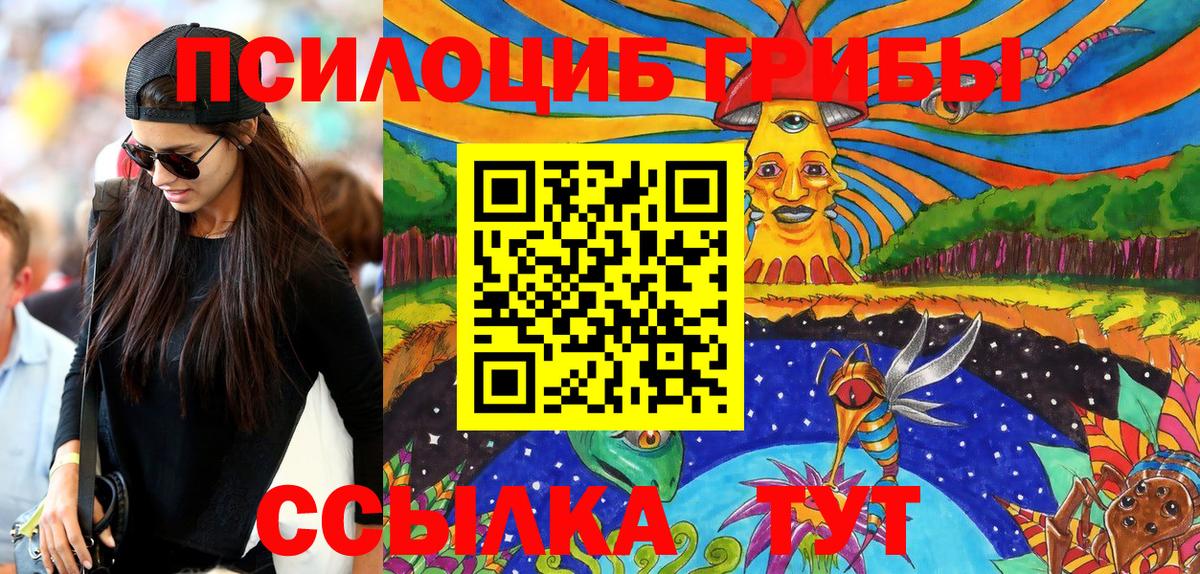 Курчатов  Галлюциногенные грибы мицелий  Вход с VPN  Псилоцибиновые грибы Cubensis 